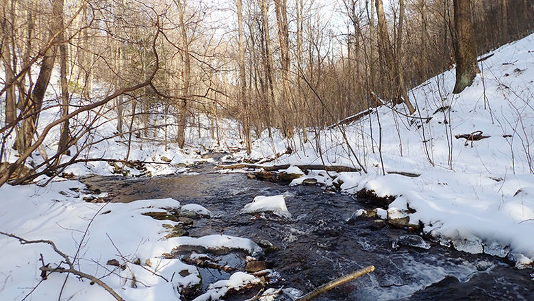 View from the woods: A creek running through a snow-covered woods