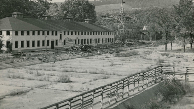 Bathhouse, Swimming Pool, and Roller Coaster