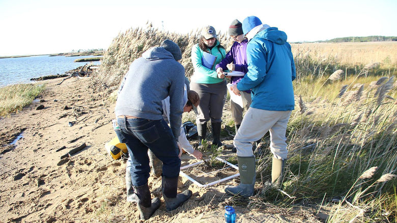 Students and faculty on the banks of the Chesapeake Bay