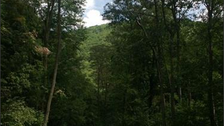 Bells Gap Trail