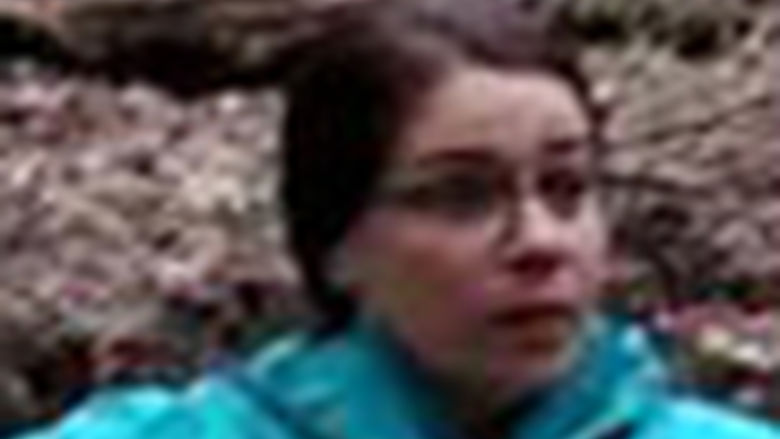 Carolyn T. Itle