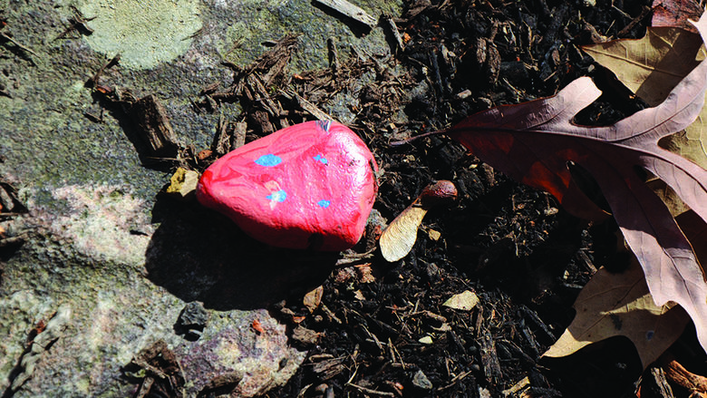 #kindnessrocks