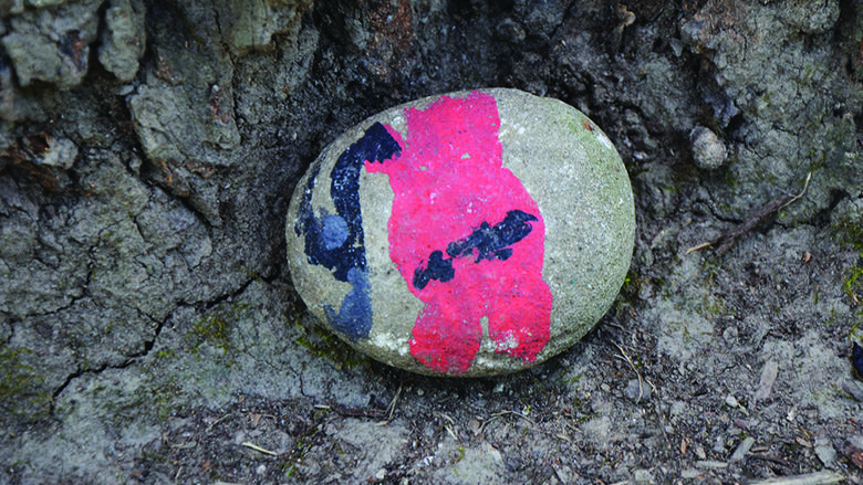 #kindnessrocks