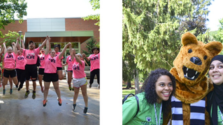 Advising Collage 2