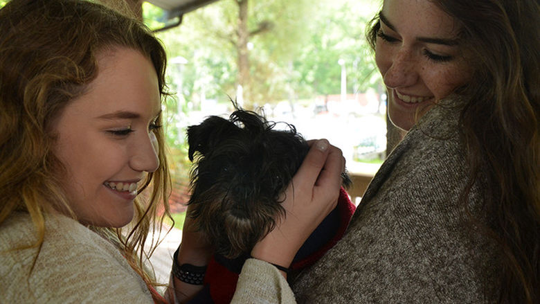 Students snuggle therapy dogs at Hugs for Hound event
