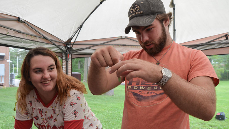 Michelle Smithbauer and Nathan White prepare to hang chrysalises around the monarch way station.