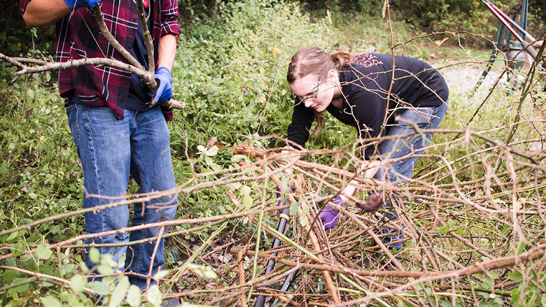 Students from Dr. Carolyn Mahan and Dr. Todd Davis’s Environmental Studies 100: Visions of Nature class participated in two service learning projects in the meadow at the Seminar Forest.