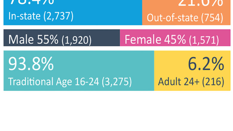 Enrollment Numbers infographic