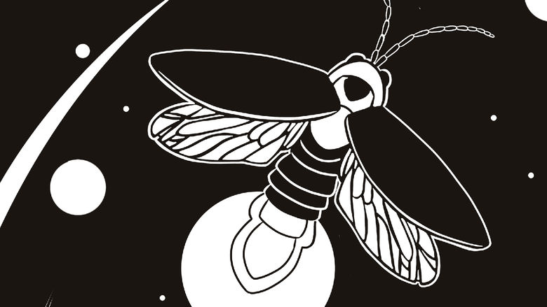 Black and white print of a glowing firefly flying among tall grass at night, with circular stars or light orbs scattered across the sky.
