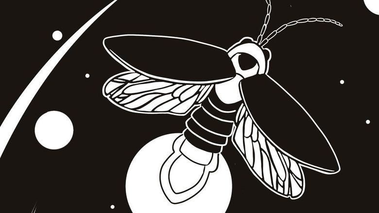 Black and white print of a glowing firefly flying among tall grass at night, with circular stars or light orbs scattered across the sky.