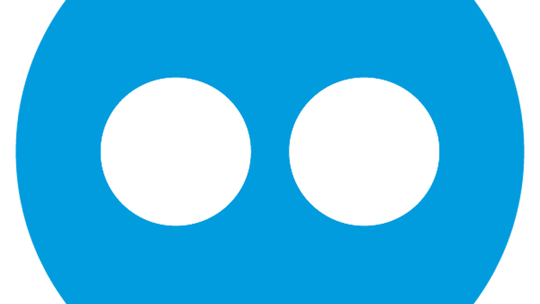 Flickr Icon