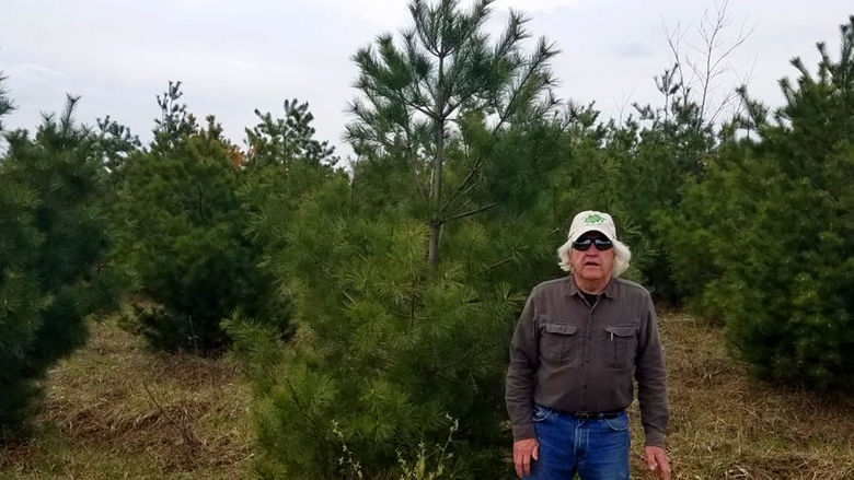 Joe Pizarchik in 2021 standing among trees planted the first year.