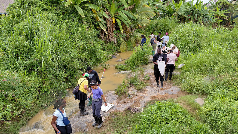 A group of people in outdoor gear wade through a shallow, muddy stream surrounded by lush green vegetation, conducting field research with nets and collection trays.