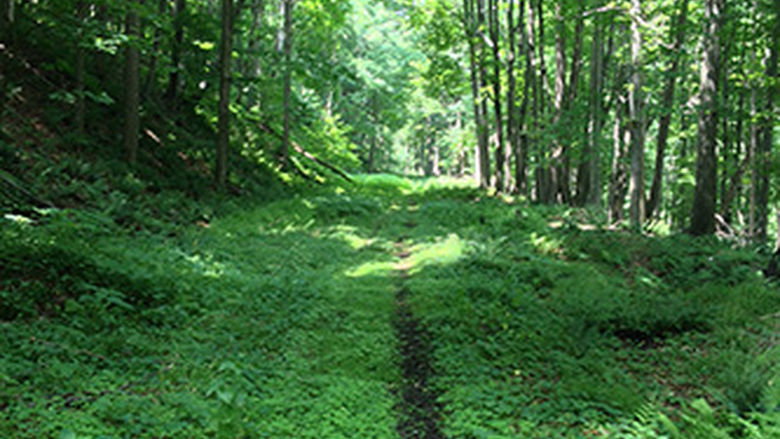 Pittsburgh-to-Harrisburg Main Line Canal Greenway Collaborative