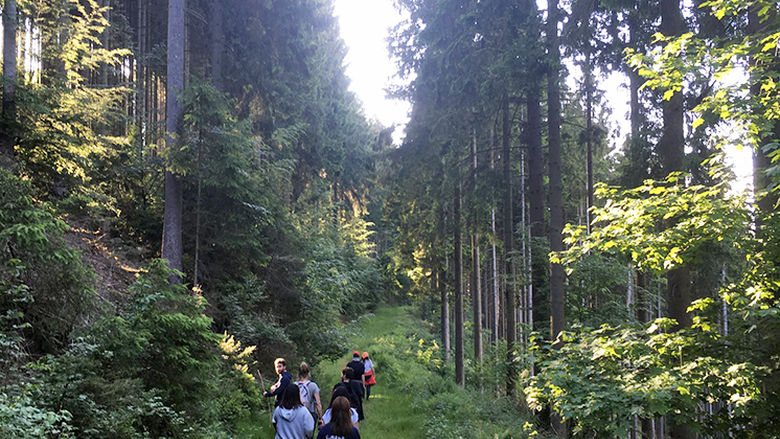 Jacobson explores the thick forests around Hermeskeil, Germany, in 2019