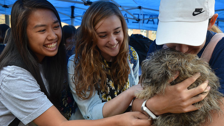 Students hug a canine friend during the Hugs for Hounds event