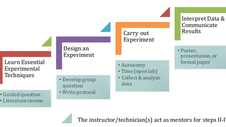 The Four-step CURE Pedagogical Framework used to develop and implement CURES in CHANCE field courses.