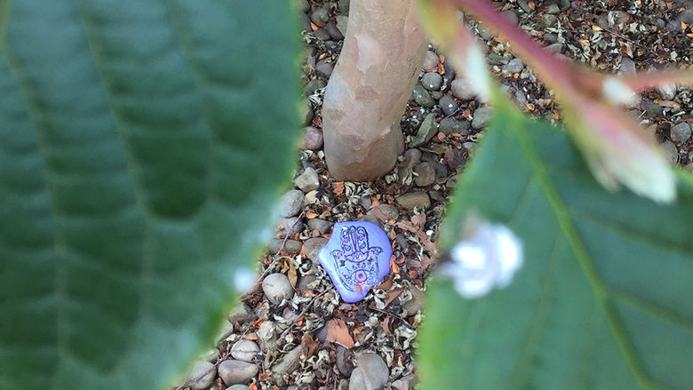 #kindnessrocks