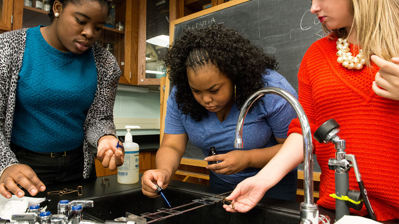 Students work in a biology lab on campus