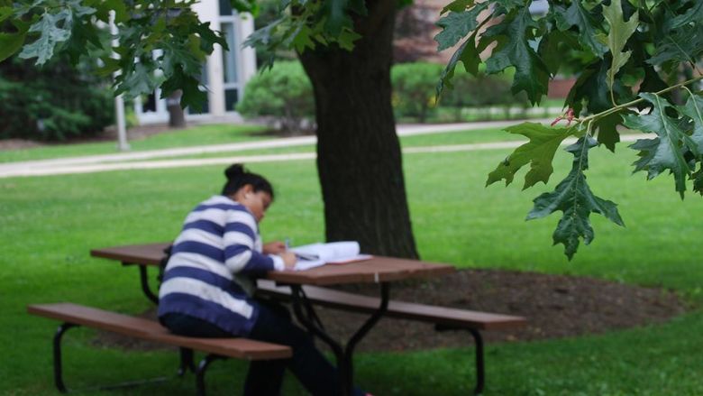 Student studying outside on campus
