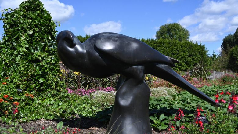 Carolina Parakeet statue