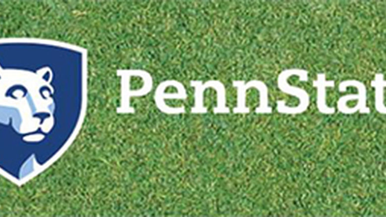 Two-color reverse mark on grass