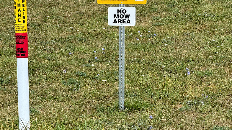 A sign indicating that the land its planted on is a habitat management zone