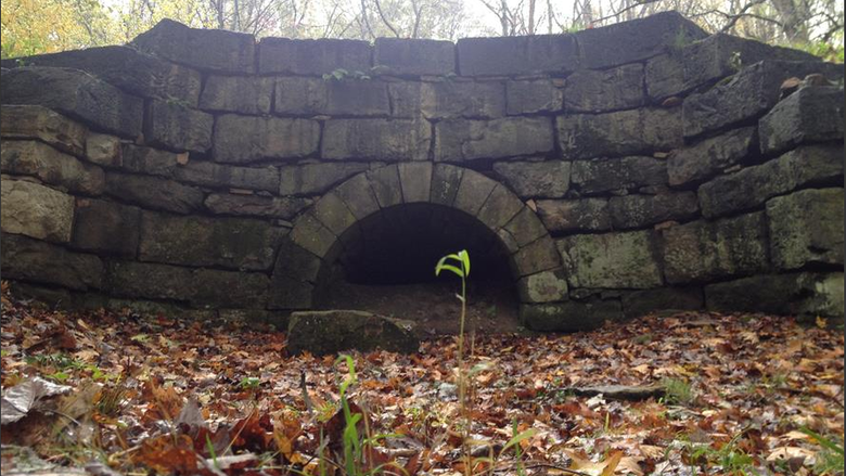 Six to Ten Trail System
