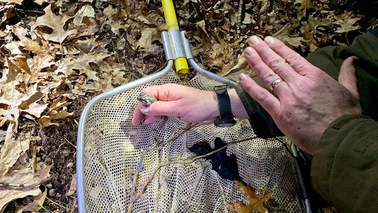 Jim Julian, an assistant professor of biology at Penn State Altoona, holds a small frog during a March 2019 tour of vernal pools in Centre County.