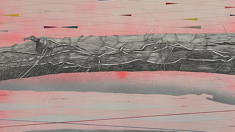 A piece of art featuring a black and white drawing of a tree branch surrounded by geometric patterns