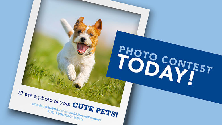 Instagram Photo Contest: Share photos of your cute pet.