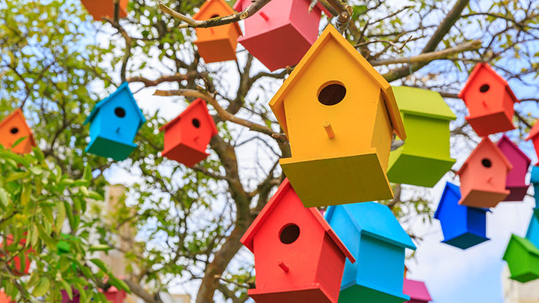 Colorful birdhouses hanging in a tree