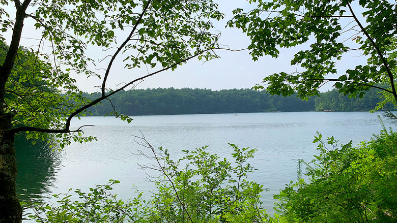 Looking out over Walden Pond
