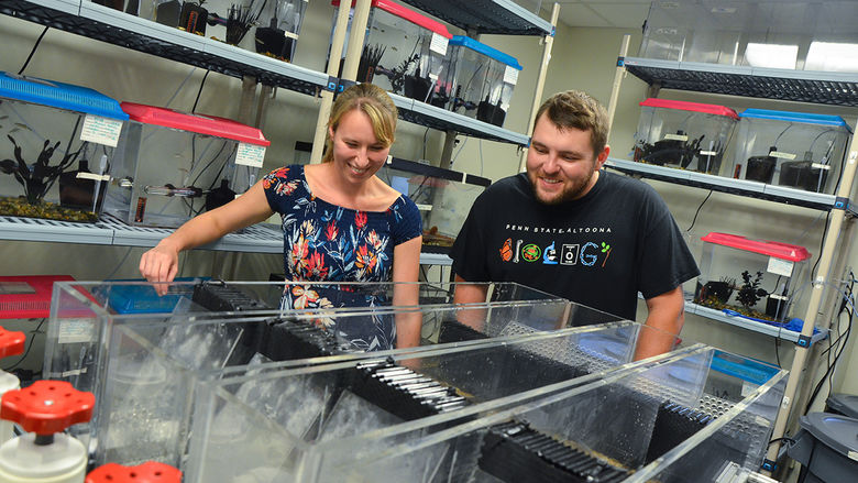 Cairsty DePasquale and Jordan Wolfkill study the movements of zebrafish