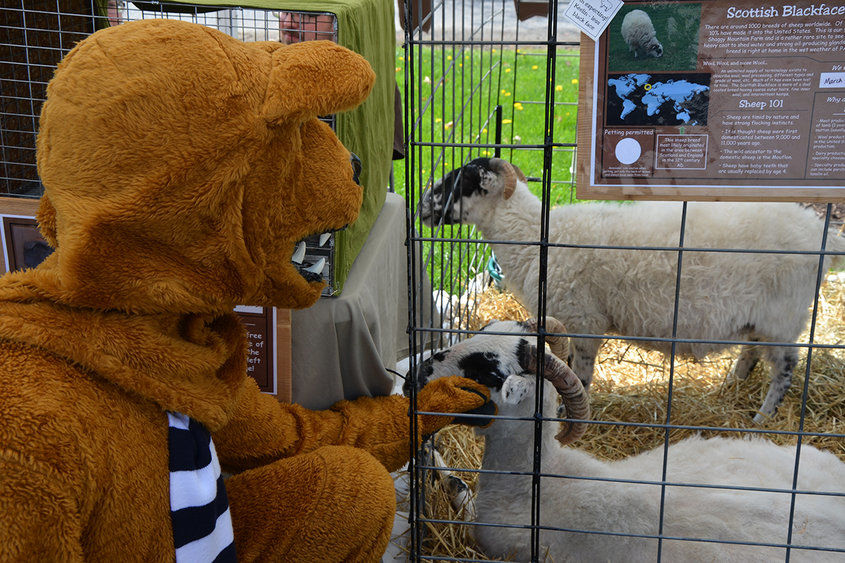 Ag Day