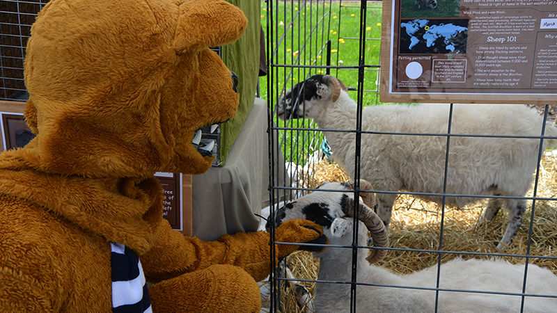 Nittany Lion with a baby goat