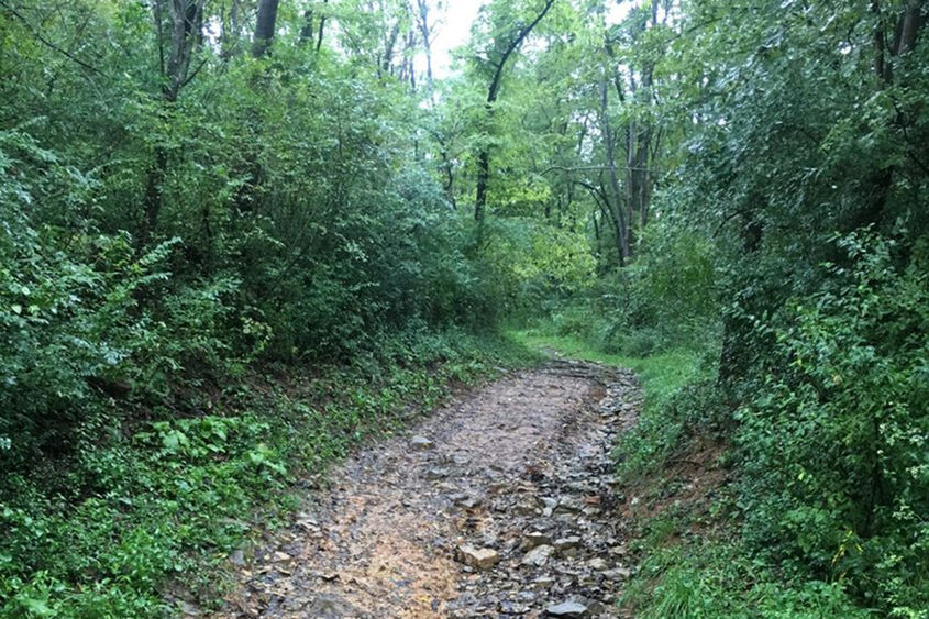 A trail at Chimney Rocks, Blair County, PA