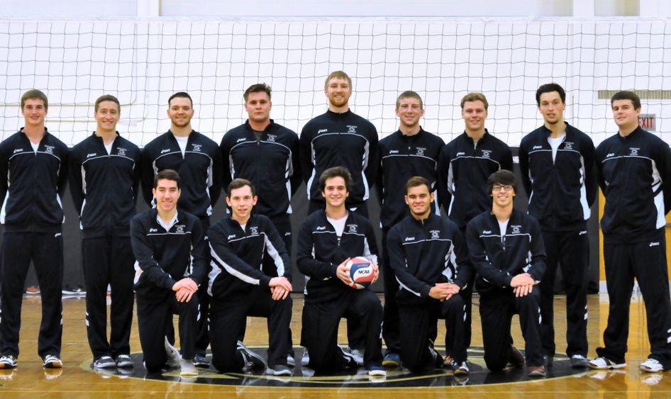 Men's volleyball team