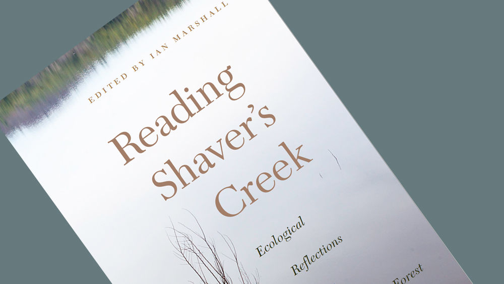 Reading Shaver's Creek book cover