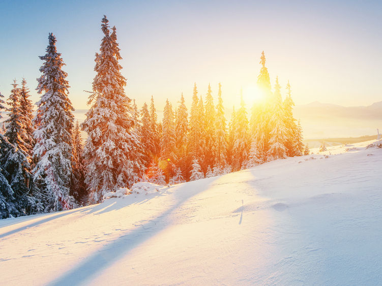 A snowy landscape featuring snow-covered evergreen trees