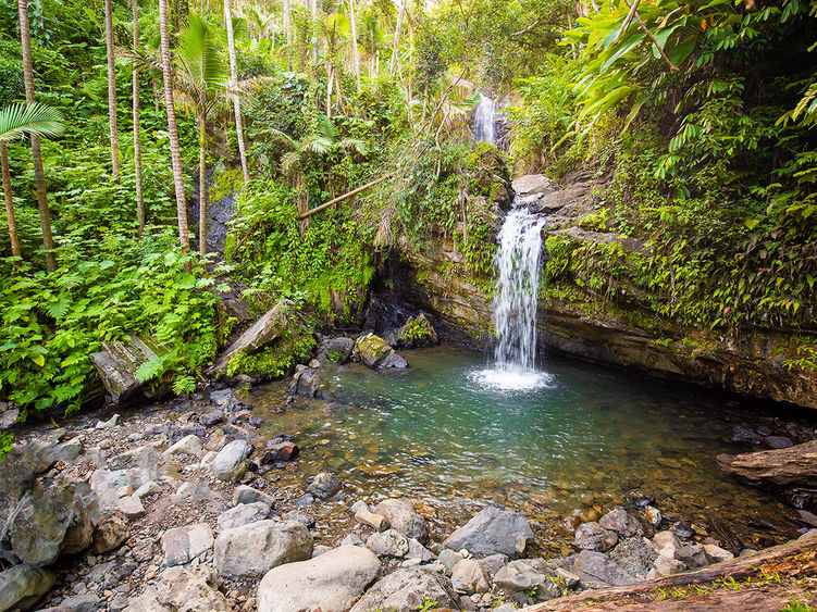 Juan Diego Falls at el Yunque rainforest Puerto Rico