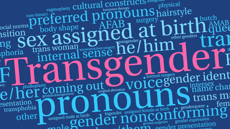 Transgender word cloud