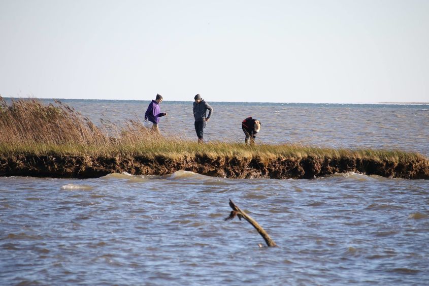 chesapeake bay