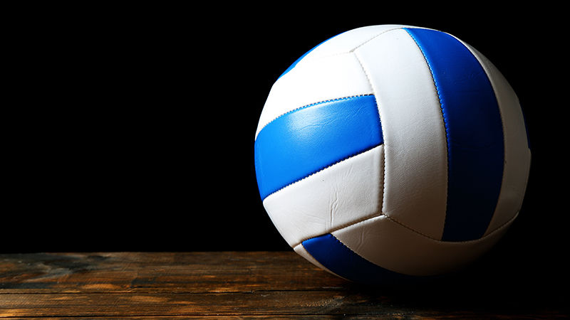 blue and white volleyball