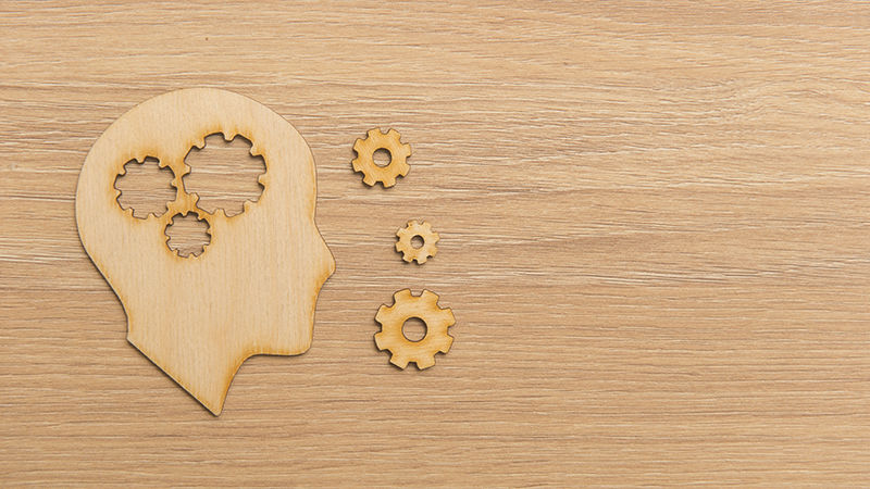 wooden brain puzzle with gears as pieces