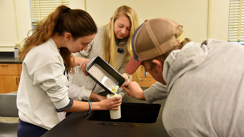 Penn State Altoona students in Food Science 105 experience cheese-making
