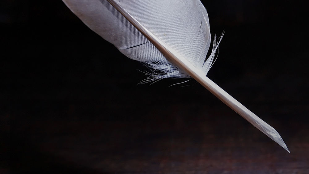 Feather pen