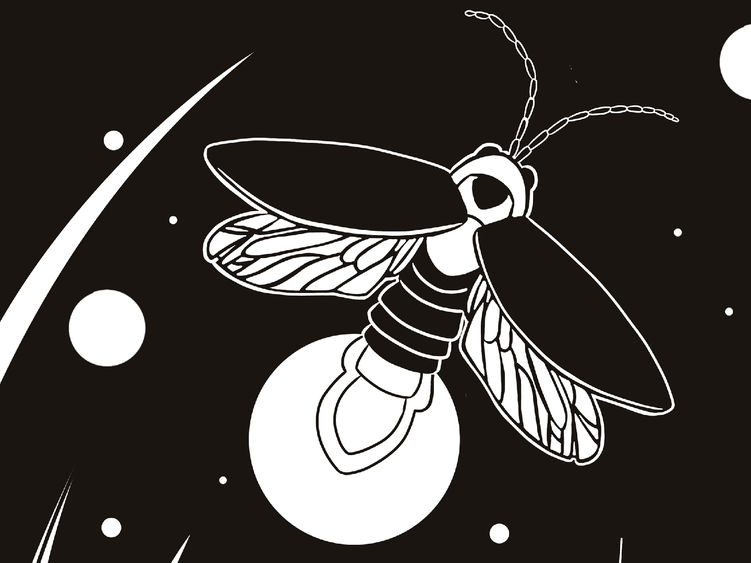 Black and white print of a glowing firefly flying among tall grass at night, with circular stars or light orbs scattered across the sky.