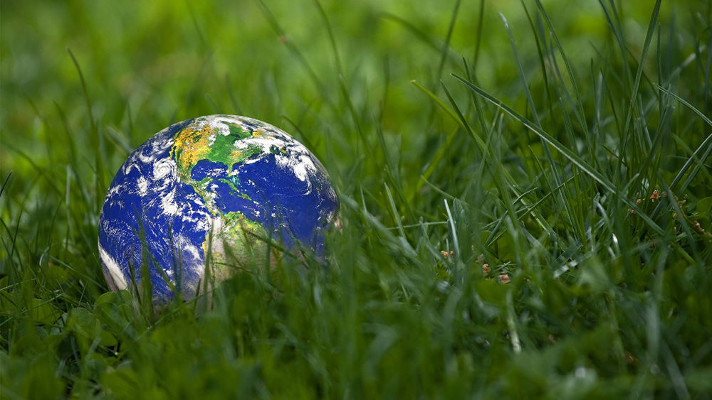 Globe in the Grass