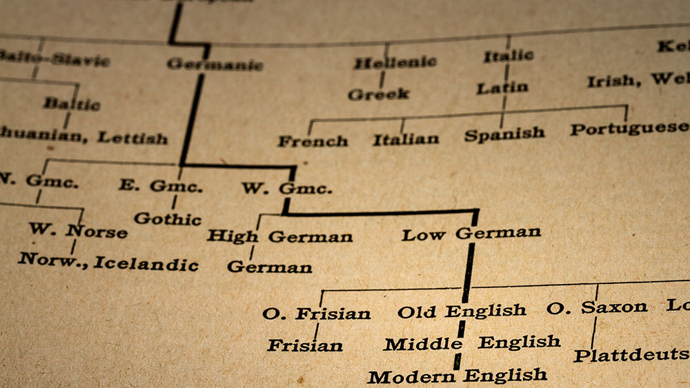 Flowchart of languages